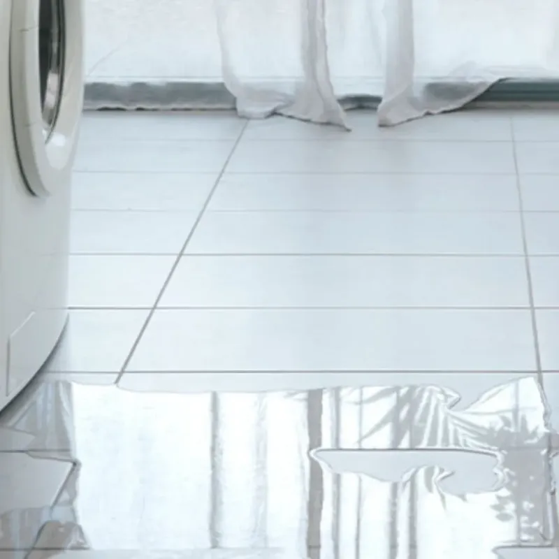 Appliance Leak Cleanup in Woodinville, WA